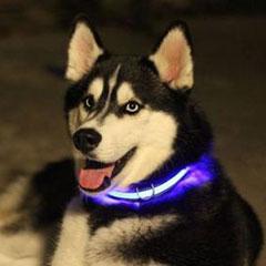 Светящийся ошейник для собак (3 режима) Glowing Dog Collar - фото 2 - id-p96704540
