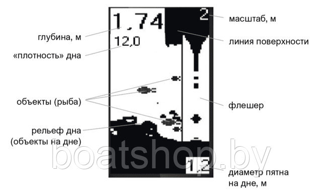 Блок Практик 7 BWF