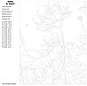 Картина по номерам, 40 x 50, KTMK-69536-1, фото 2