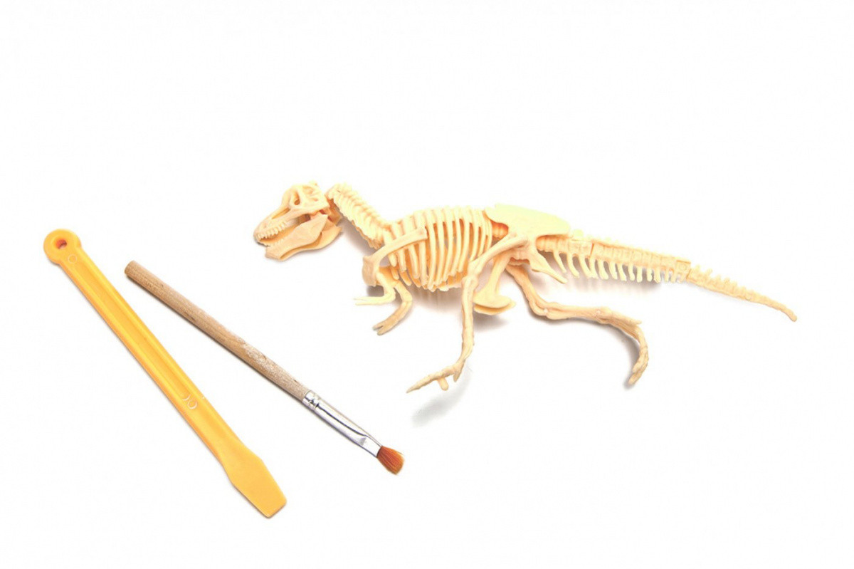 Набор для раскопок ЮНЫЙ АРХЕОЛОГ тиранозавр - фото 3 - id-p96909579