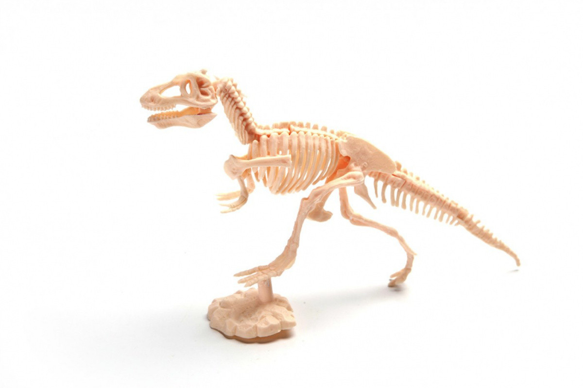 Набор для раскопок ЮНЫЙ АРХЕОЛОГ тиранозавр - фото 4 - id-p96909579