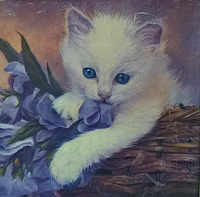 Алмазная мозаика "Голубоглазый котенок" на подрамнике