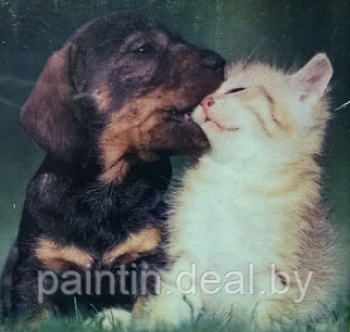 Алмазная мозаика "Кот и пес" на подрамнике - фото 1 - id-p97055884