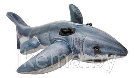 КРУГ НАДУВНОЙ пластмассовый детский с держателями "Акула" 173*107 см Intex