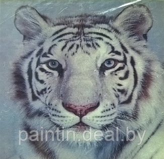 Алмазная мозаика "Белый тигр" на подрамнике
