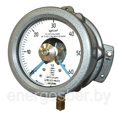 Манометры, вакуумметры, мановакуумметры взрывозащищенные  ДМ2005Сг1Ех, ДВ2005Сг1Ех, ДА2005Сг1Ех