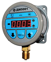 Манометр цифровой ДМ5001