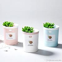 Ультразвуковой увлажнитель воздуха Humidifier Succulent