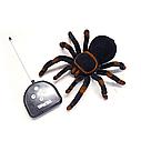 Радиоуправляемый паук  Тарантул (свет), фото 2