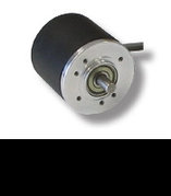 Elastic Couplings