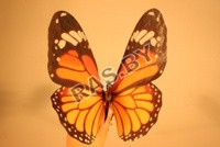 Светящиеся бабочки для садового участка (код. 9-3428) - фото 1 - id-p97507783