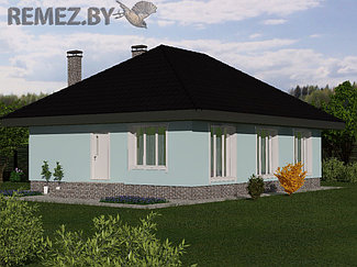 Вид 1