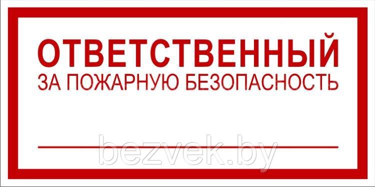 Информационный знак "Ответственный за пожарную безопасность", арт. П017 - фото 1 - id-p84207910