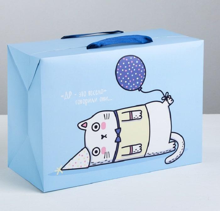 Подарочная коробка-пакет «Веселый кот» 28 × 20 × 13 см