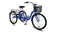 Велосипед STELS Energy-III 26" V030, фото 2
