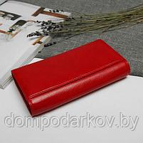 Кошелёк женский на магните, 2 отдела рамка, 5 отделов для кредиток, наружный карман, цвет красный, фото 2