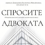 АДВОКАТ ДЕМИДОВЕЦ Е.М. по юридическим  вопросам. Опыт более 24 лет. ОТЗЫВЫ в интернете по ФИО., фото 2