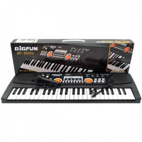 Детский синтезатор пианино 49 клавиш 530A2 с USB, от сети и от батареек - фото 3 - id-p97961476