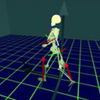 Simi Motion 2D/3D – система для видеозахвата движений при помощи светоотражающих маркеров