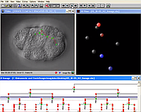 SIMI BIOCELL компьютерная система для видеоанализа развития клетки