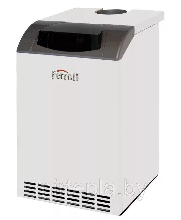 Ferroli PEGASUS D23 Напольный газовый котел