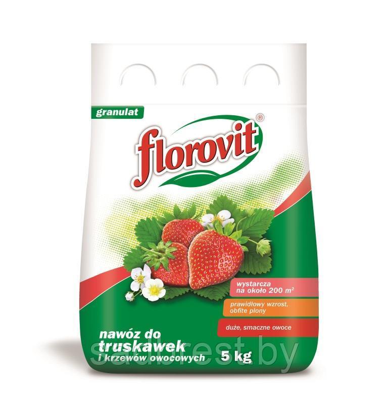 Удобрение для клубники и земляники Флоровит Florovit 5 кг - фото 1 - id-p59910428