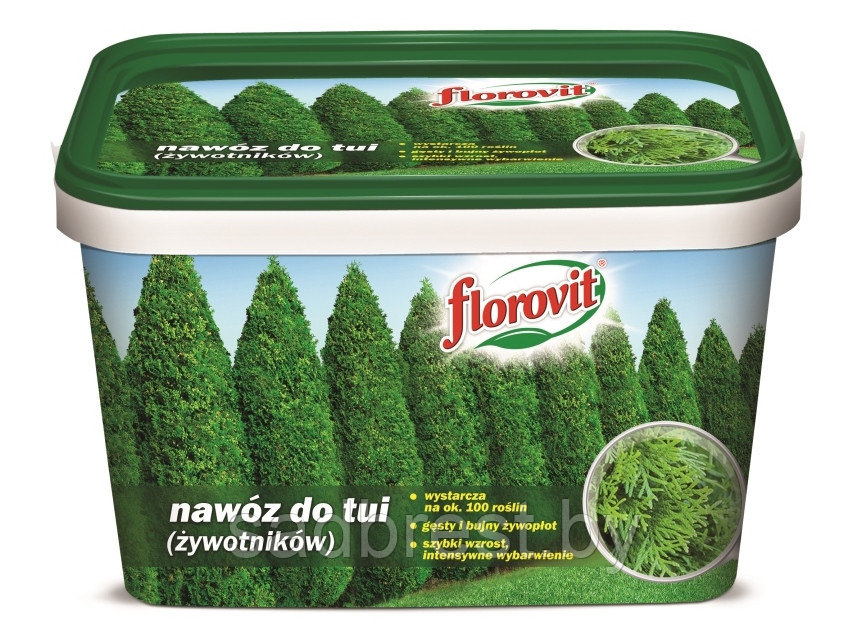 Удобрение для туй и хвойных растений Флоровит Florovit 4 кг ведро