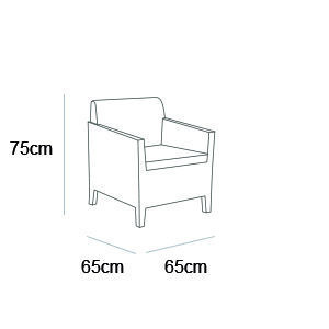 Комплект мебели Orlando 2 - Seater (Орландо 2 - ситер) - фото 7 - id-p98367505