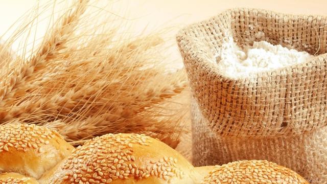 Изготовление муки Завод по производству муки