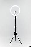 Светодиодная кольцевая лампа на штативе 45 см, фото 2
