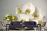 3Д Фотообои "Белая орхидея на нежном фоне", фото 4