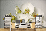 3Д Фотообои "Белая орхидея на нежном фоне", фото 6