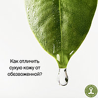 КАК ОТЛИЧИТЬ СУХУЮ КОЖУ ОТ ОБЕЗВОЖЕННОЙ?