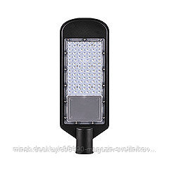 Уличный светодиодный светильник : 100W AC230V/ 50Hz цвет черный  (IP65), SP3033