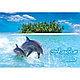 Альбом для рисования Dolphins Story 40 листов (Цена с НДС), фото 2