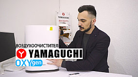 Воздухоочиститель Yamaguchi Oxigen