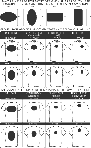 Варианты размещения логотипа (изображения) на футболках 