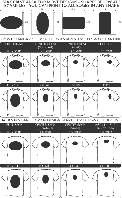 Варианты размещения логотипа (изображения) на футболках 
