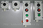 Пост управления кнопочный ПКУ 15-21-141 IP54, фото 3