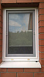 Москитные сетки на окна, фото 4