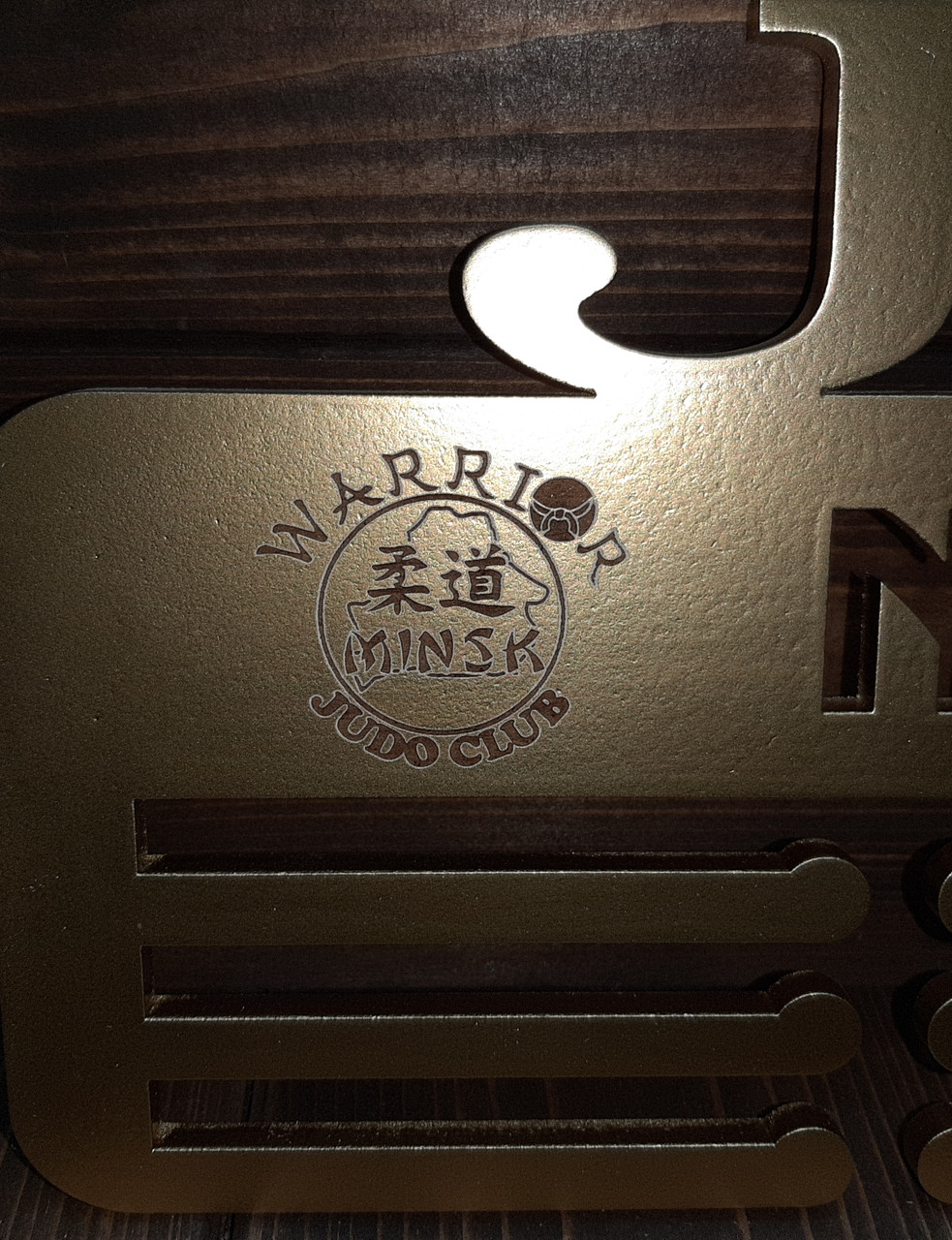 Медальница "Judo" с именем и логотипом клуба - фото 3 - id-p99022856