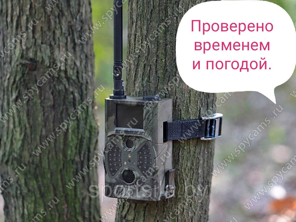 Фотоловушка 3G MMS Фотоловушка Suntek «Сова HC-350G» оповещение на электронную почту и телефон