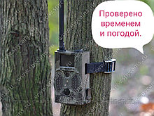 Фотоловушка 3G MMS Фотоловушка Suntek «Сова HC-350G» оповещение на электронную почту и телефон