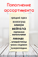 Пополнение ассортимента! Климатисы, виноград, грецкий орех, вейгела, ароматравы и многое другое!