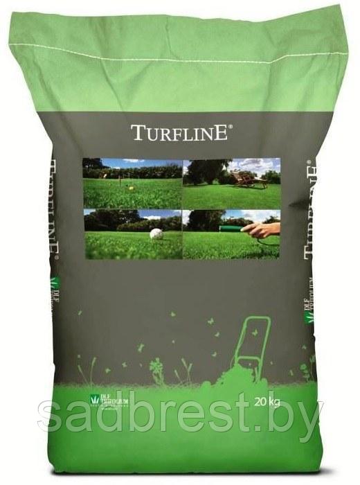 Семена газона DLF Trifolium Тurfline Mini Мини, Дания (весовые)