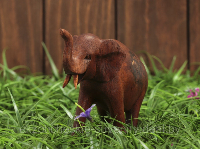 Сувенир "Большой слон" коричневый - фото 1 - id-p99302006