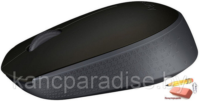 Мышь оптическая беспроводная Logitech Wireless Mouse M171 - EMEA-BLACK, USB, черная, арт.L910-004424 - фото 2 - id-p99303776