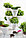 Вазон тройной Ivy Planter зеленый с белым, фото 3