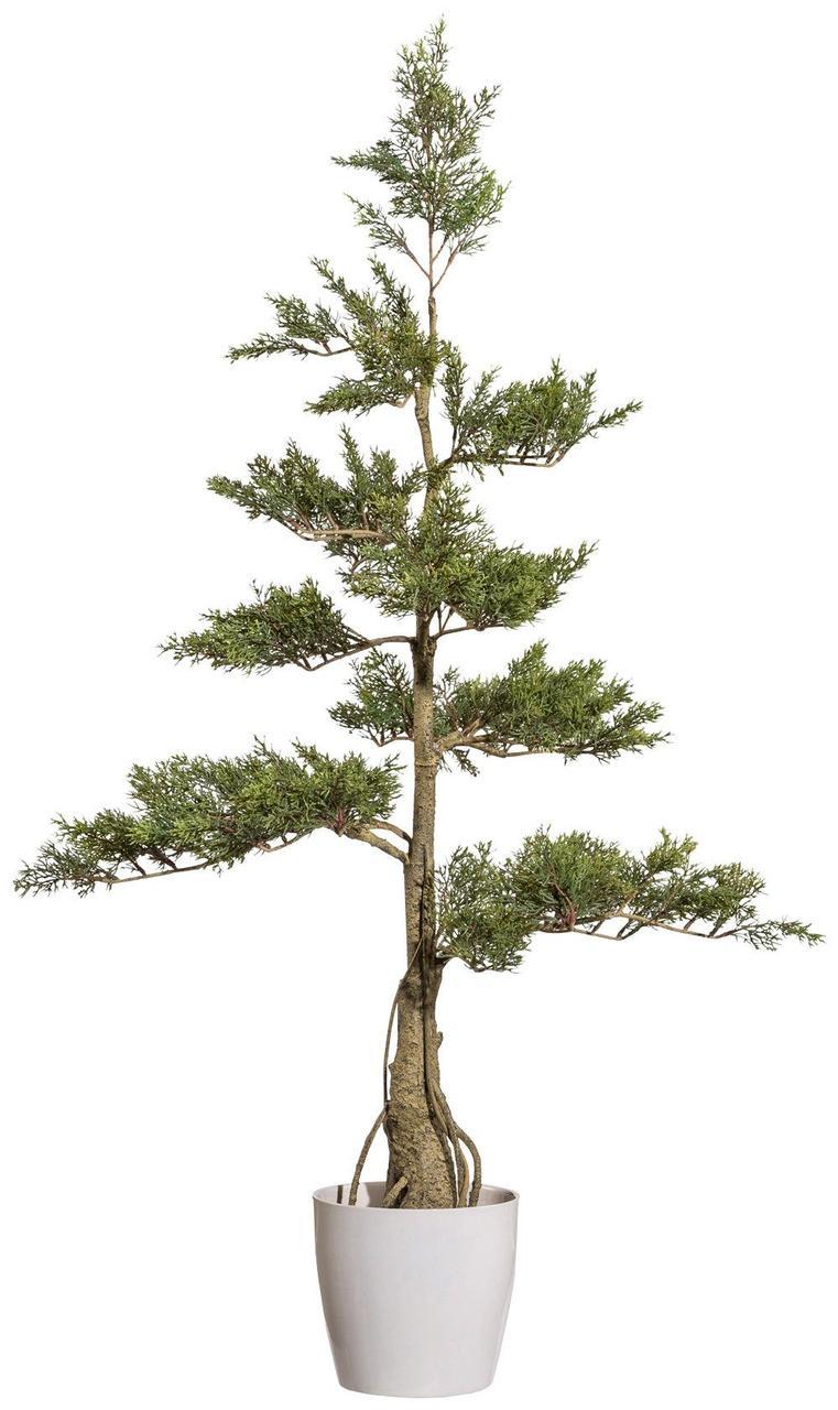Кедровое дерево искусственное, 160 см, зеленый, в горшке - фото 1 - id-p99511857