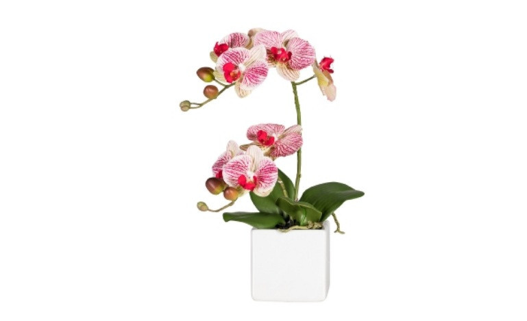 Орхидея искусственная 45 см, в керамическом горшке, белый - фото 1 - id-p99511859